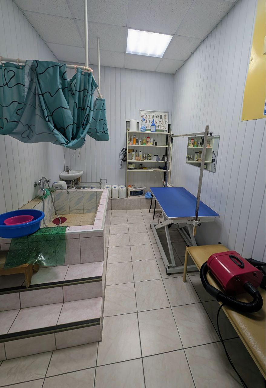 стрижка животных